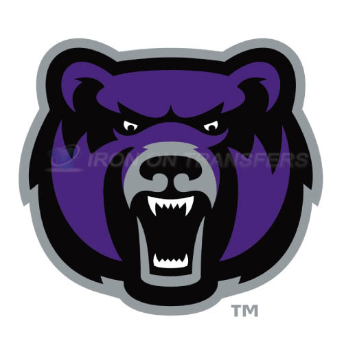 Central Arkansas Bears logo T-shirts Iron On Transfers N4108